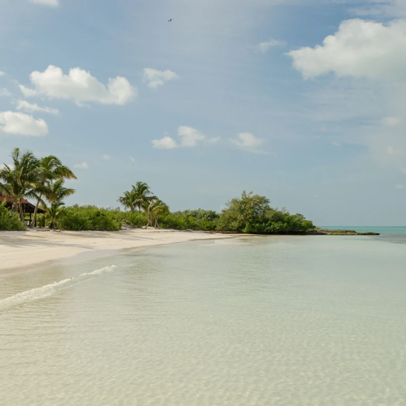 Contoy Island Adventure Tour