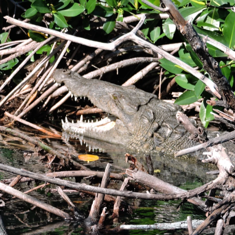 Nature Tours Cancun