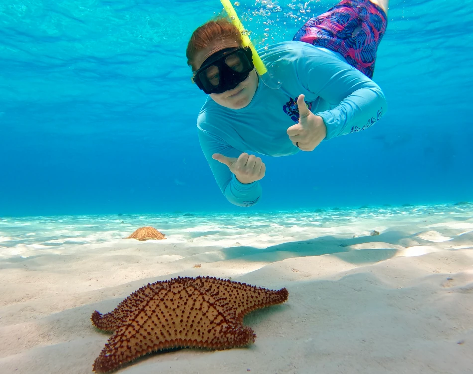 Cozumel Snorkeling Tour El Cielo