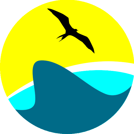 ContoyExcursions 